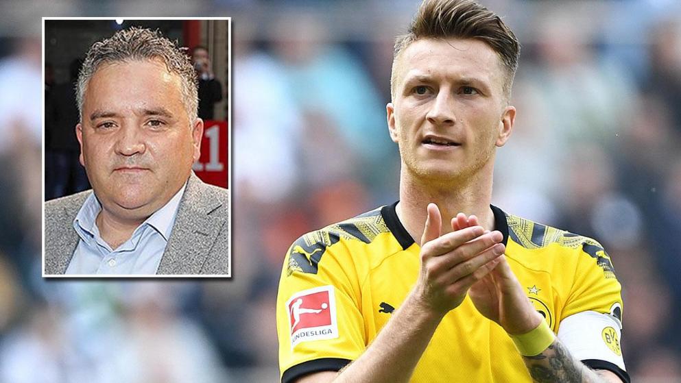 毛球事业的 毛球事业的